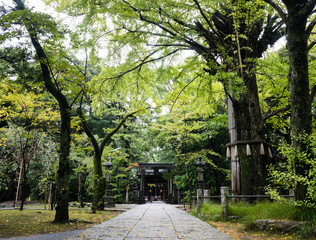 On the grounds of Akasaka Hikawa Shrine in Tokyo, Japan