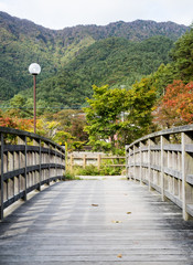 Wooden bridge and mountain scenery at Lake Saiko - Fuji Five Lakes, Japan