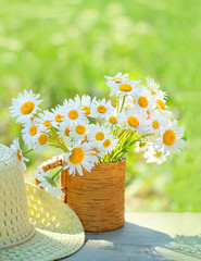 beautiful summer composition with chamomile flowers in Cup, braided hat in garden. Rural landscape background with Chamomile in sunlight. Summertime season. close up. soft selective focus