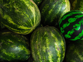 Artificial, rubber watermelon among real watermelons. The season of watermelon, watermelon day