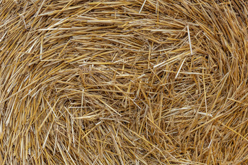  Straw texture of a harvested wheat field
