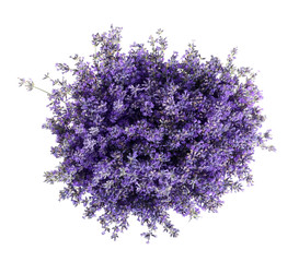 Bouquet of fresh lavender flowers on white background, top view