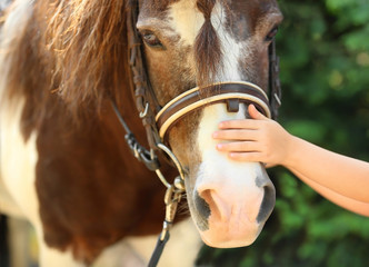 Little girl stroking her pony in green park, closeup