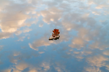 Fototapeta premium boat of leaves is floating in the autumn lake