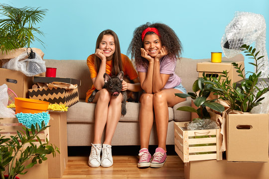 Photo of two beautiful diverse female students change place of living, happy to move in modern apartment, have mess in room with unpacked belongings, sit on sofa with favourite dog, smile pleasantly