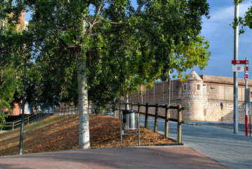 árbol y al fondo la prisión provincial de Tarragona (España)