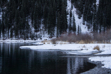 Snowy lake shore