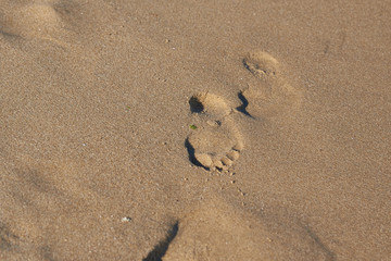 Footprints in the sea sand.