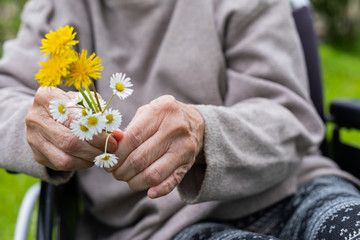 Elderly shaking hands holding flowers
