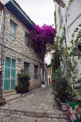 street in Marmaris in the old town in summer with blooming