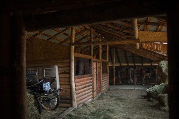 Horse at a farm in a stable behind bars.