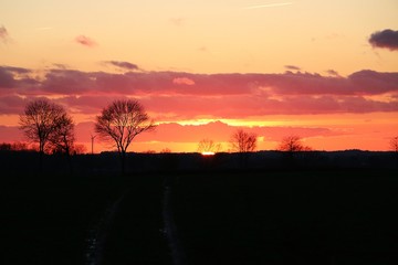 beautiful romantic landscape early in the morning