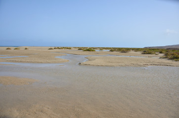 Large Fine Sand Beach of Sotavento with Low Tide in Fuerteventura