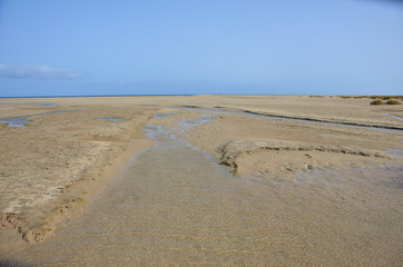 Large Fine Sand Beach of Sotavento with Low Tide in Fuerteventura