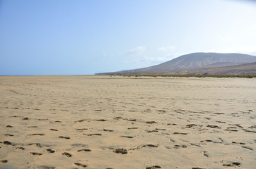 Large Fine Sand Beach of Sotavento with Low Tide in Fuerteventura