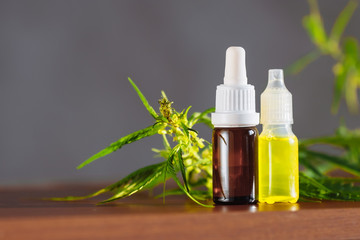 Hemp oil. Bottle of Cannabis oil against Marijuana plant. CBD oil pipette