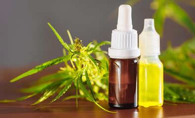 Hemp oil. Bottle of Cannabis oil against Marijuana plant. CBD oil pipette