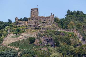 Fototapeta premium Ruins of the medieval castle above Vienne town, France