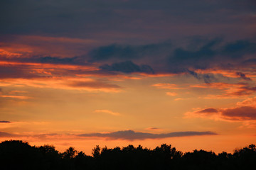 Sunset over trees in France