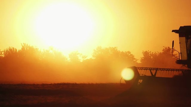 Big combine harvester with a rotating thresher moving at golden sunset in slo-mo