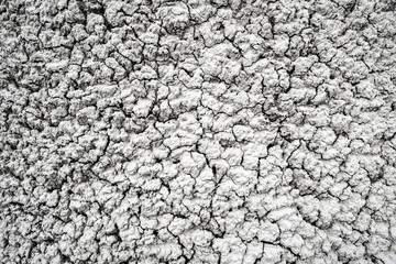 Dried and Cracked desert ground texture background