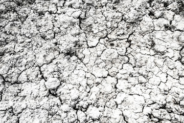 Dried and Cracked desert ground texture background