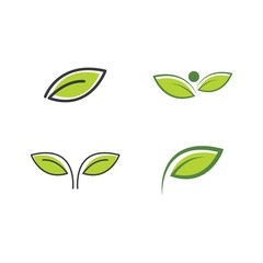 Green leaf logo