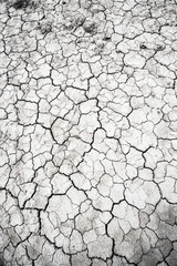 Dried and Cracked desert ground texture background