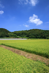 水田　和風イメージ