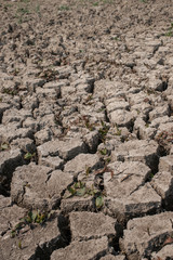 dry out soil