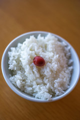 白ごはん