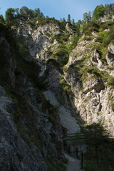 Fototapeta na wymiar Hiking trail in Oetschergraben near to the Oetscher in Austria, Europe