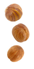 Hazelnut core nut kernel three whole soaring, falling, flying isolated on white background with clipping path. Set of parts. Full depth of field.
