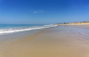 Fototapeta na wymiar Petit bec beach in Île de Ré 
