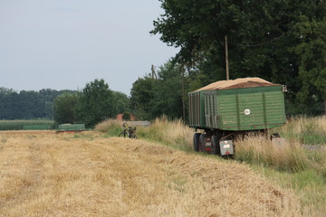 Fototapeta premium Abgestellt