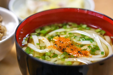 日本のうどん