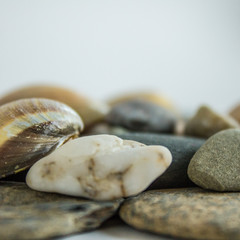 Sea stones and shells close-up