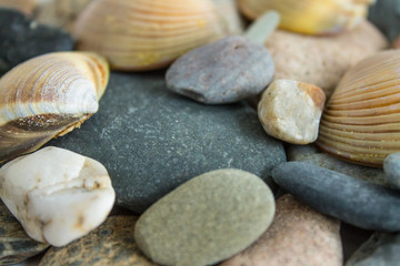 Sea stones and shells close-up