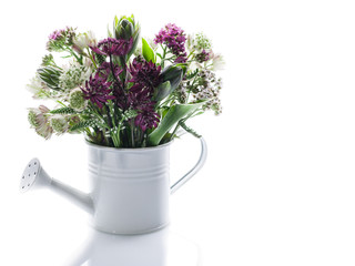Bouquet of wildflowers in a white watering can on a white background. Isolated object. Copy space