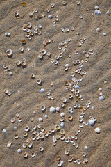 Diseños en la arena.  Bancos de arena de Luskentyre. Sand Patterns. Luskentyre Banks. South Harris Island. Outer Hebrides. Scotland, UK