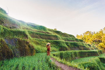 Woman at Tegalalang rice terrace in Bali