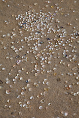 Diseños en la arena.  Bancos de arena de Luskentyre. Sand Patterns. Luskentyre Banks. South Harris Island. Outer Hebrides. Scotland, UK