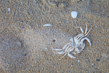 Diseños en la arena.  Bancos de arena de Luskentyre. Sand Patterns. Luskentyre Banks. South Harris...