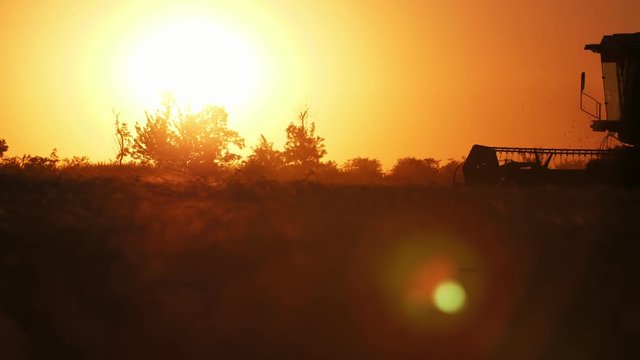 Modern combine harvester with a rotating thresher going at golden sunset in slo-mo
