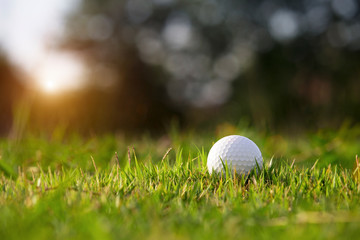 golf ball is on a green lawn in a beautiful golf course