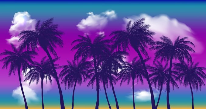 Summer sunset palm trees. Beatiful tropical, exotic wit clouds in sky.Vector illustration. EPS 10