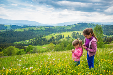 Fototapeta premium Children walking in the flowering meadow