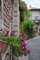 Stradina italiana ad Assisi, Umbria, con balcone fiorito in primo piano