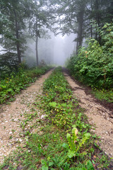 Nebel auf dem Rußberg 