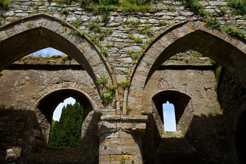 Abadía de Jerpoint, Thomastown, Condado de Kilkenny, Irlanda